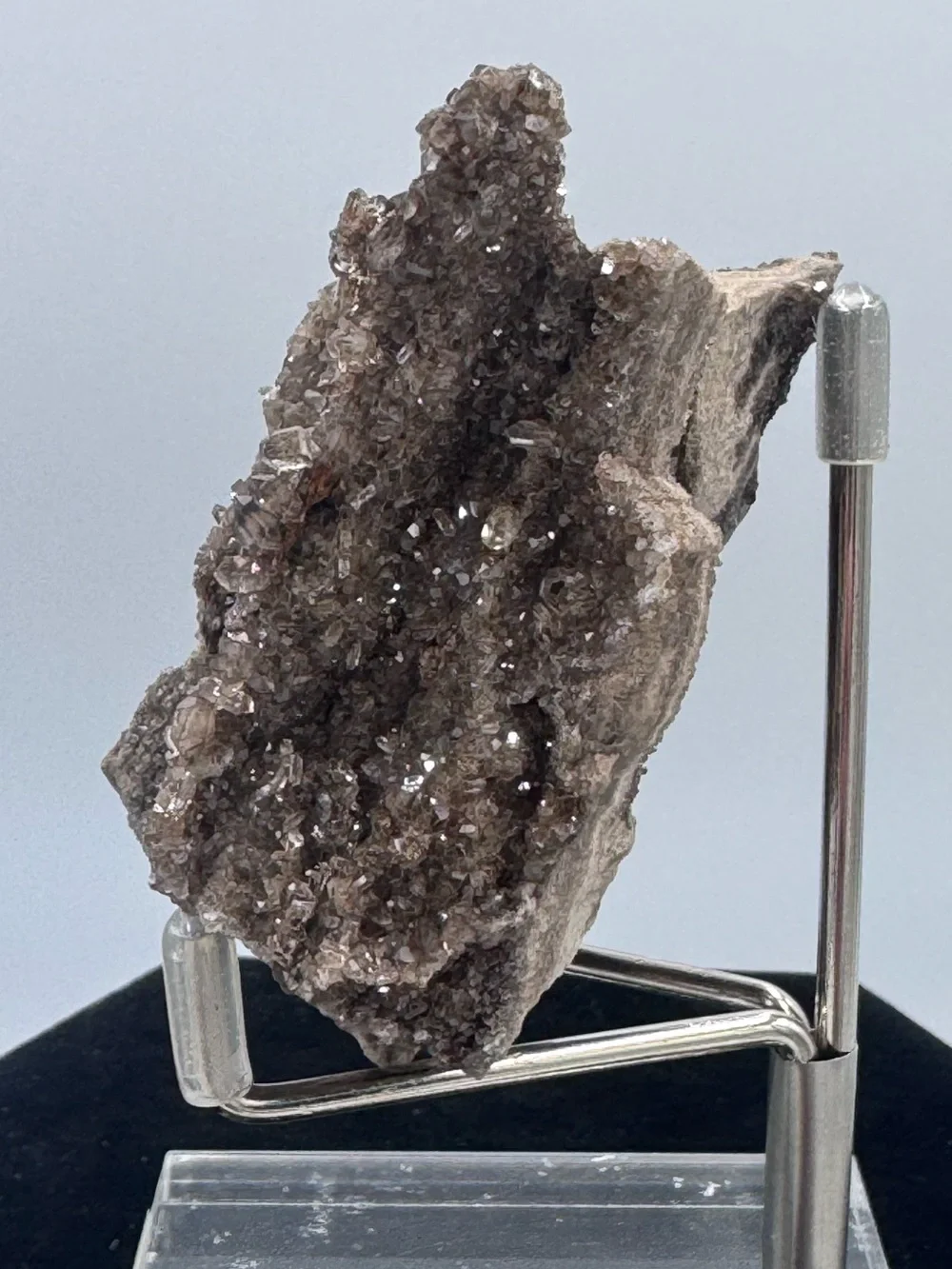 Petrified Wood Druzy Display - Brown Sparkling Crystal Brilliant Alabama